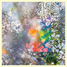 FOUR TET - Sixteen Oceans