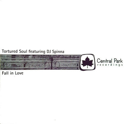 TORTURED SOUL FEAT DJ SPINNA - Fall In Love