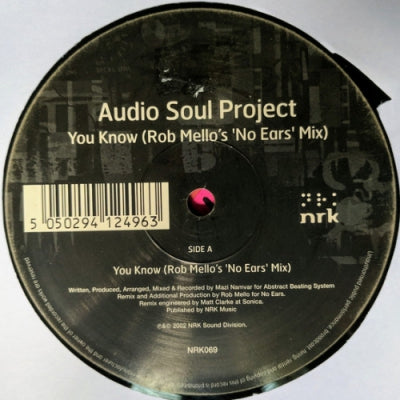 AUDIO SOUL PROJECT - You Know / Free Falling