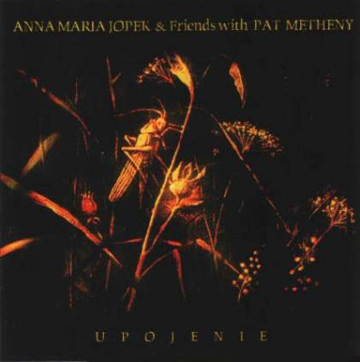 ANNA MARIA JOPEK & PAT METHENY - Upojenie