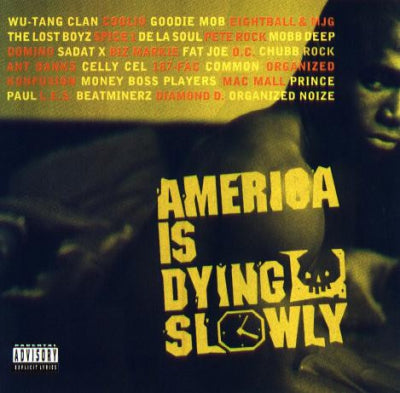 VARIOUS ARTISTS - America Is Dying Slowly