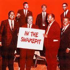 THE FUNK BROTHERS - In the Snakepit