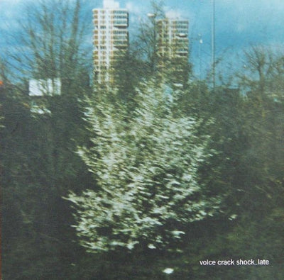 VOICE CRACK - Shock_Late