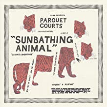 PARQUET COURTS - Sunbathing Animal