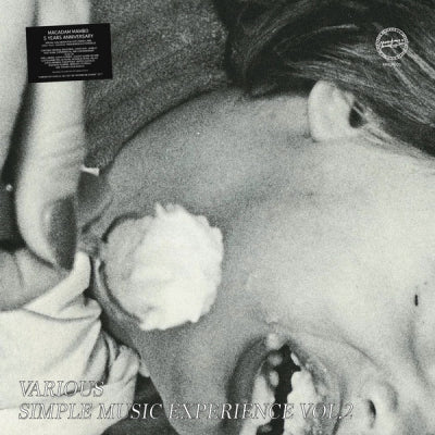 VARIOUS - Simple Music Experience Vol. 2