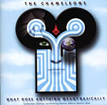 THE CHAMELEONS - What Does Anything Mean? Basically