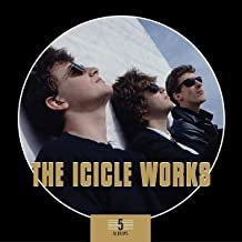 THE ICICLE WORKS - 5 Albums