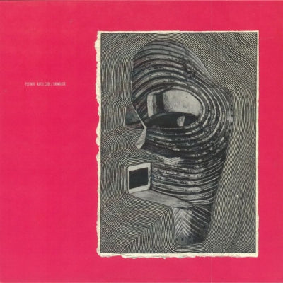 PLETNEV - Aztec Code / Daywalker