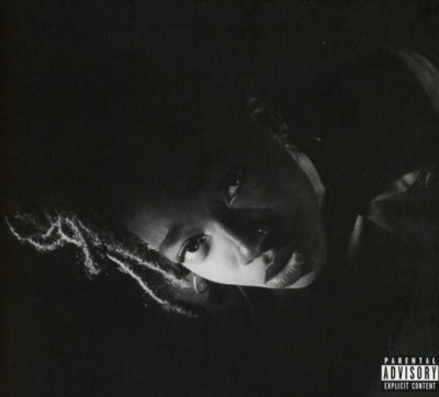 LITTLE SIMZ - Grey Area
