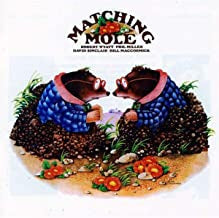 MATCHING MOLE - Matching Mole