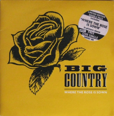 BIG COUNTRY - Where The Rose Is Sown