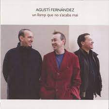 AGUSTI FERNANDEZ - Un Llamp Que No S'acaba Mai