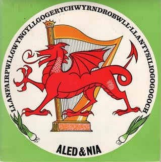 ALED & NIA - Llanfairpwllgwyngyllgogerychwyrndrobwll-llantysiliogogogoch.