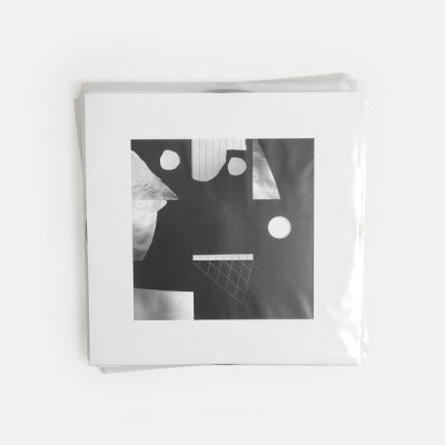 L/F/D/M - Crocodiles In The Ceiling