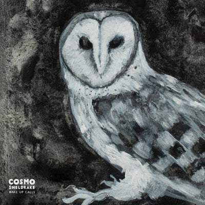 COSMO SHELDRAKE  - Wake Up Calls
