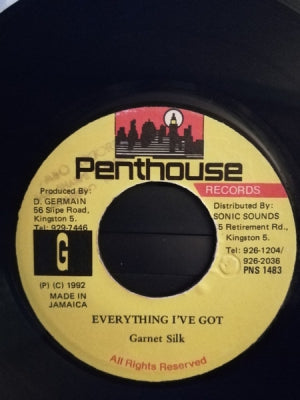 GARNET SILK - Everything I've Got / Remix