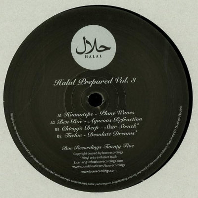 HAVANTEPE / BEN BOE / CHICAGODEEP / TAELUE - Halal Prepared Vol. 3