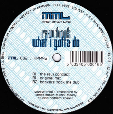 RAW BOOK - What I Gotta Do