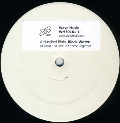A HUNDRED BIRDS - Black Water