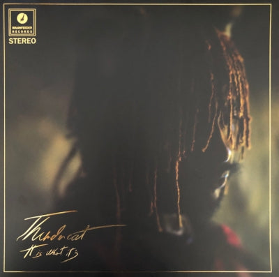 THUNDERCAT - It Is What It Is