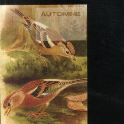 AUTOMNE - SRL EP