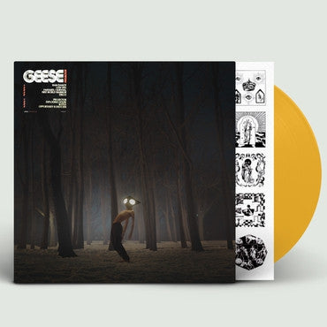 GEESE - Projector