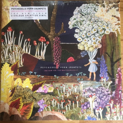 PSYCHEDELIC PORN CRUMPETS - And Now For The Whatchamacallit