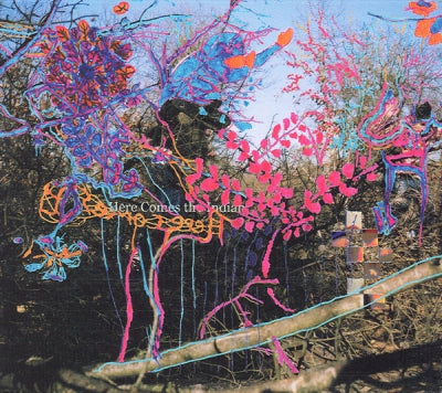ANIMAL COLLECTIVE - Here Comes The Indian