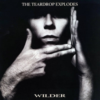 TEARDROP EXPLODES - Wilder