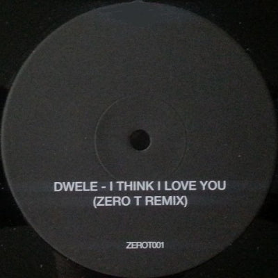 DWELE / SLAM - I Think I Love You / Positive Education (Zero T Remix)