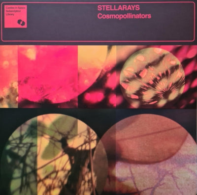 STELLARAYS - Cosmopollinators