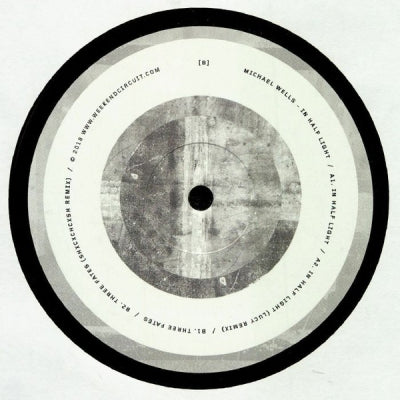 MICHAEL WELLS - In Half Light