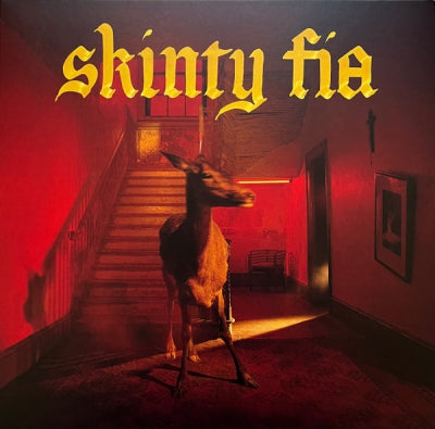 FONTAINES D.C. - Skinty Fia