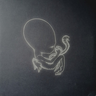 SIGUR ROS - Agaetis Byrjun