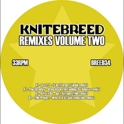 VARIOUS - Remixes Volume Two