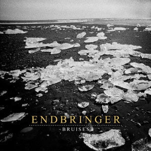 ENDBRINGER - Bruises