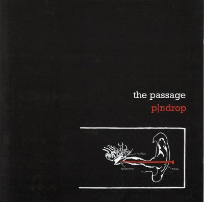THE PASSAGE - Pindrop