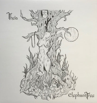ELEPHANT TREE - Theia