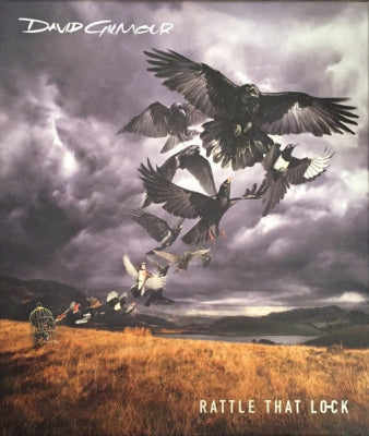 DAVID GILMOUR - Rattle that lock