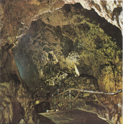 DEINONYCHUS - After The Rain Falls... An Empty Sky Remains