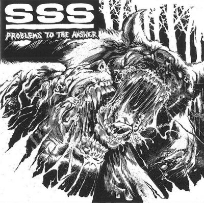 SSS - Problems To The Answer