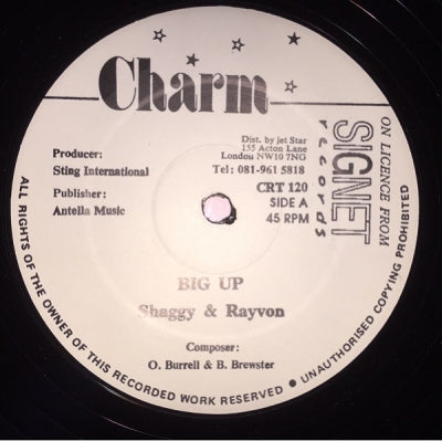SHAGGY / RAYVON - Big Up / Version