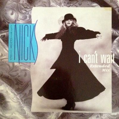 STEVIE NICKS - I Can't Wait