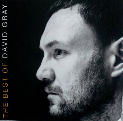 DAVID GRAY - The Best Of David Gray