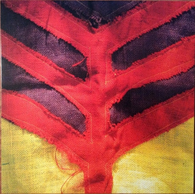 YEAH YEAH YEAHS - Show Your Bones