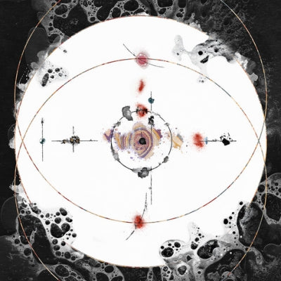 BALDRUIN - Biotische Verwitterung