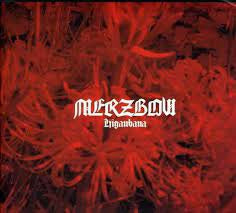 MERZBOW - Higanbana