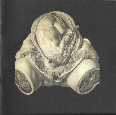 ORCUSTUS - Orcustus