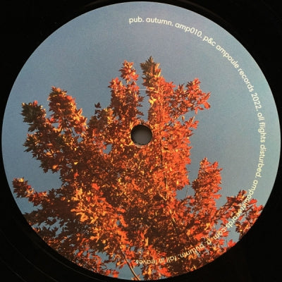 PUB - Autumn
