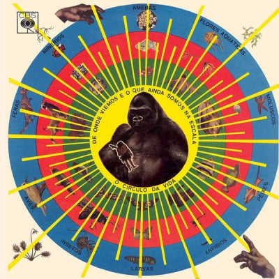 PEDRO SANTOS - Krishnanda